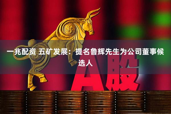 一兆配资 五矿发展：提名鲁辉先生为公司董事候选人